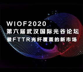 第六届武汉国际光谷论坛（WIOF2020）